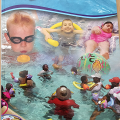 Let's All Swim